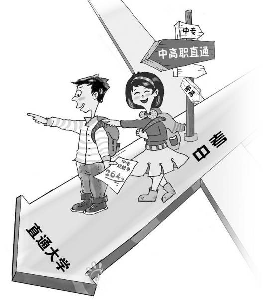 对口高职本科