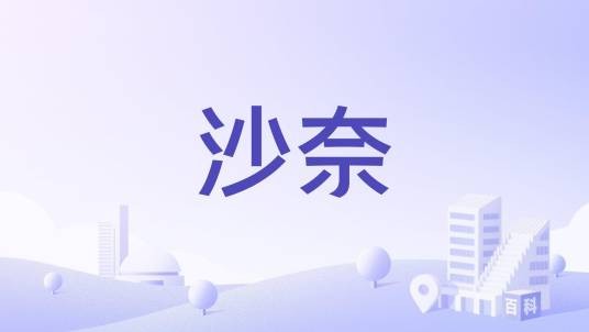 沙奈（法国东部安省下辖的市镇）