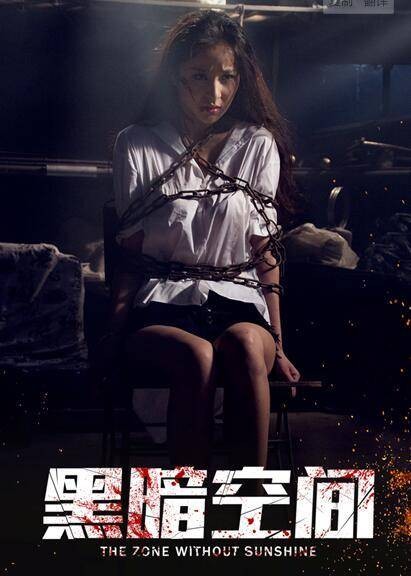 黑暗空间（2017年周天宇执导的犯罪悬疑电影）