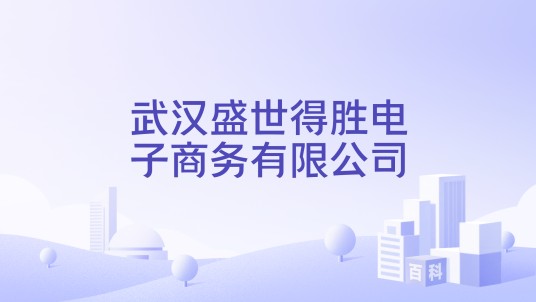 武汉盛世得胜电子商务有限公司