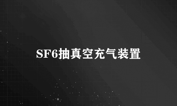 SF6抽真空充气装置