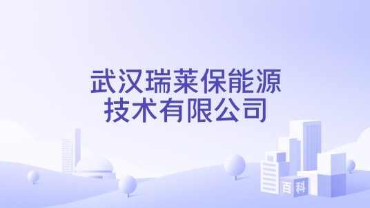 武汉瑞莱保能源技术有限公司