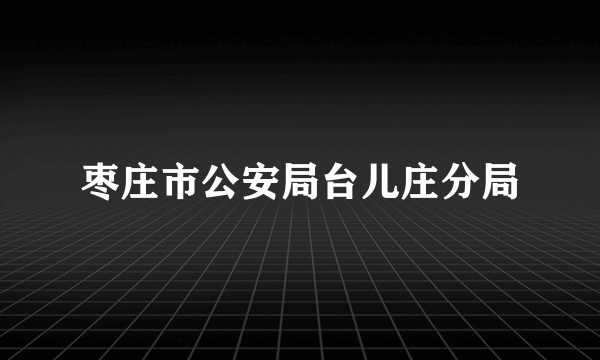 枣庄市公安局台儿庄分局