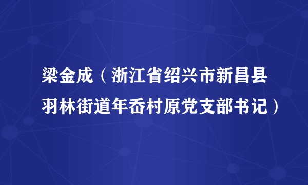 梁金成(浙江省绍兴市新昌县羽林街道年岙村原党支部书记)