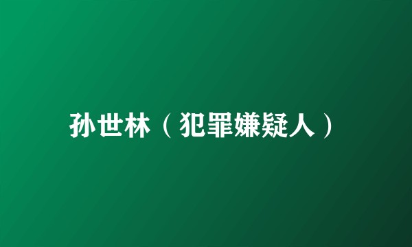 孙世林（犯罪嫌疑人）