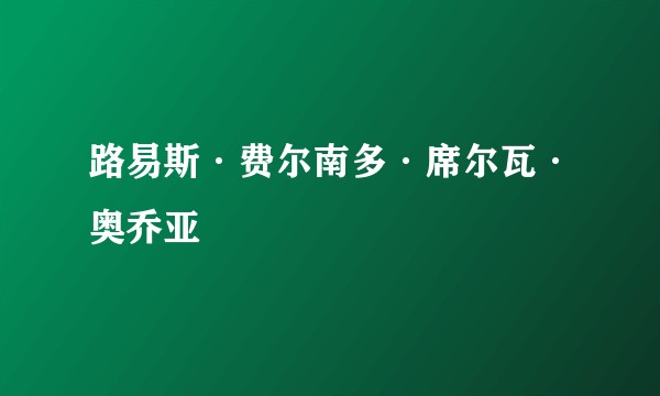 路易斯·费尔南多·席尔瓦·奥乔亚