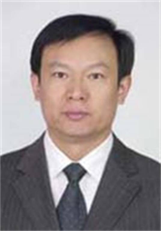 周迅(安徽省六安市舒城县自然资源和规划局党组成员、副局长)