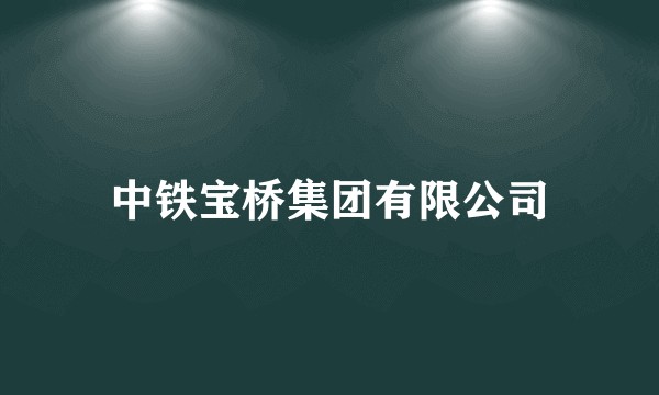 中铁宝桥集团有限公司