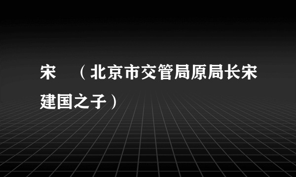 宋喆（北京市交管局原局长宋建国之子）