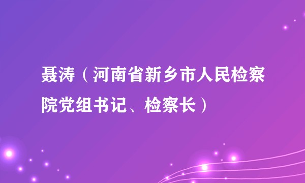 聂涛（河南省新乡市人民检察院党组书记、检察长）
