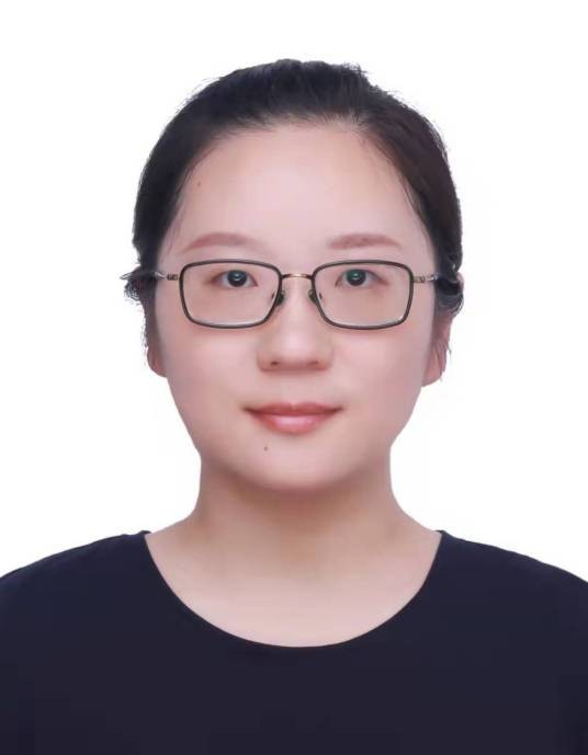 王帝(山东省淄博市桓台县委常委、索镇街道党工委书记)