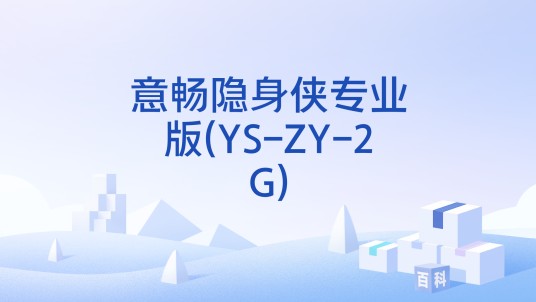 意畅隐身侠专业版(YS-ZY-2G)