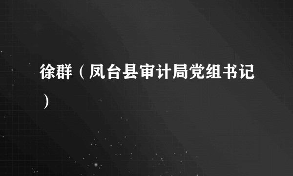 徐群（凤台县审计局党组书记）
