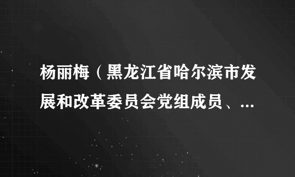 杨丽梅（黑龙江省哈尔滨市发展和改革委员会党组成员、副主任、二级巡视员）