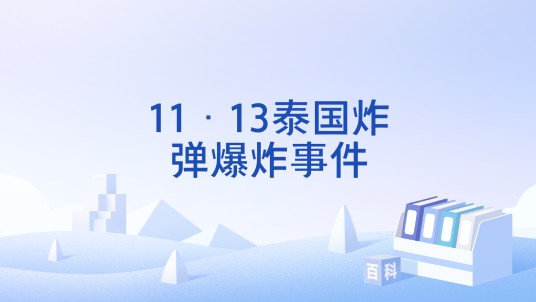 11·13泰国炸弹爆炸事件