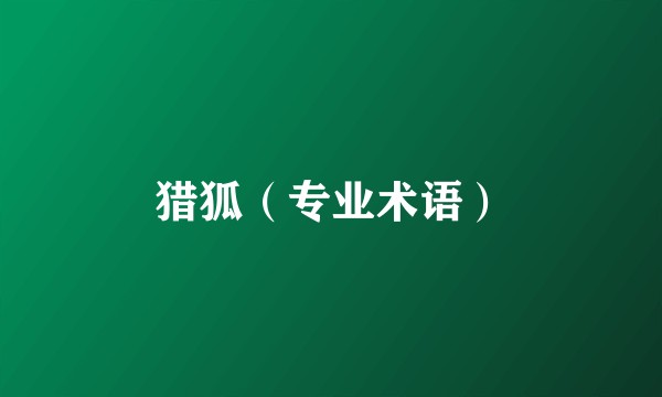 猎狐（专业术语）