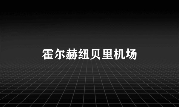 霍尔赫纽贝里机场