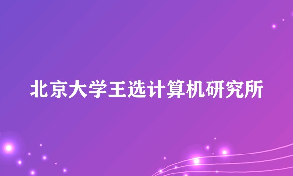 北京大学王选计算机研究所