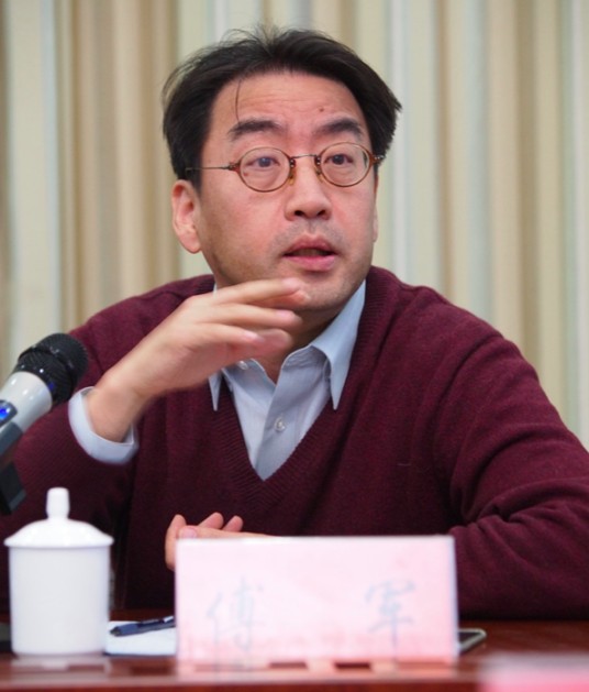 傅军（北京大学南南合作与发展学院学术院长）