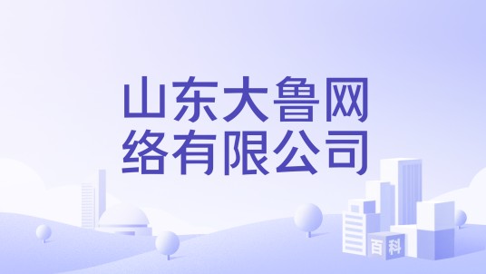 山东大鲁网络有限公司