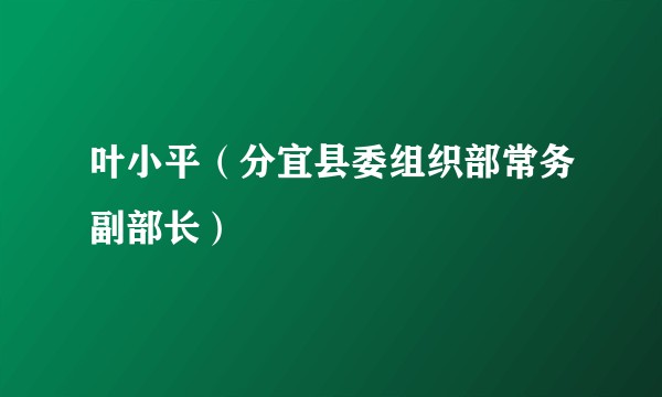 叶小平（分宜县委组织部常务副部长）