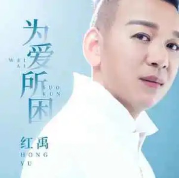 为爱所困（红禹演唱的歌曲）