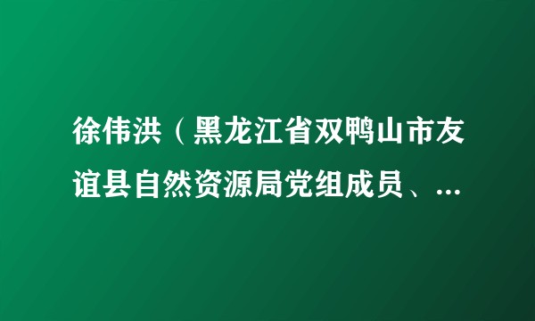 徐伟洪（黑龙江省双鸭山市友谊县自然资源局党组成员、三级主任科员）