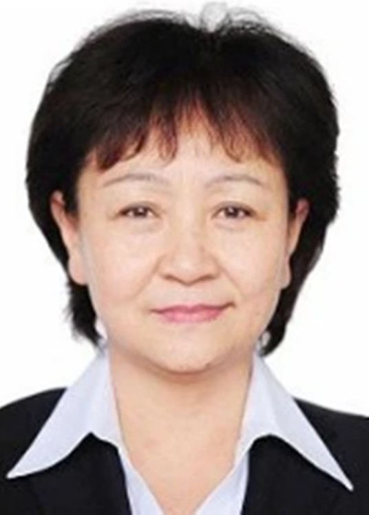 白萍（中航工业副总会计师）