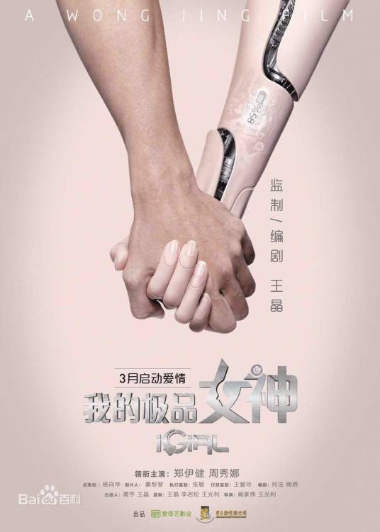 我的极品女神（2016年爱奇艺出品网络电影）