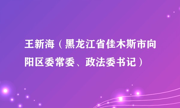 王新海（黑龙江省佳木斯市向阳区委常委、政法委书记）