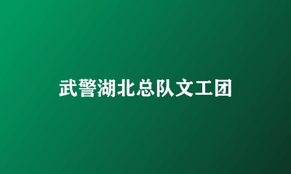 武警湖北总队文工团