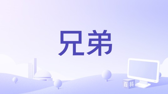 兄弟（《兄弟》—意大利电影作品）