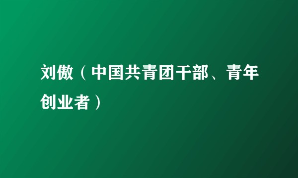 刘傲（中国共青团干部、青年创业者）