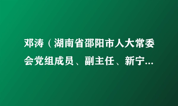 邓涛（湖南省邵阳市人大常委会党组成员、副主任、新宁县委书记、二级巡视员）