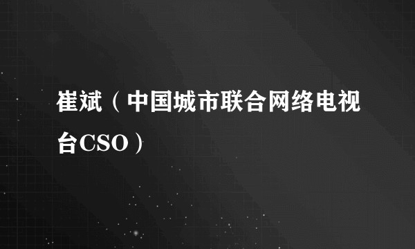 崔斌（中国城市联合网络电视台CSO）