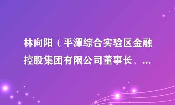 林向阳（平潭综合实验区金融控股集团有限公司董事长、总经理）