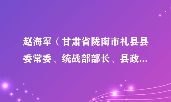 赵海军（甘肃省陇南市礼县县委常委、统战部部长、县政协党组副书记）