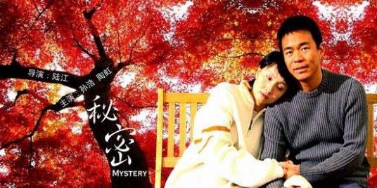 秘密（2004年陆江执导的电视电影）