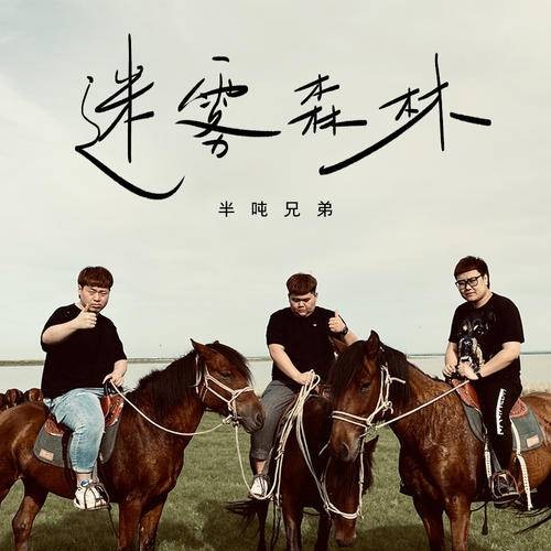迷雾森林（半吨兄弟演唱歌曲）