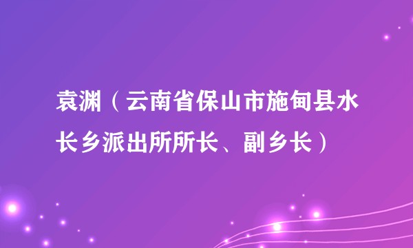 袁渊(云南省保山市施甸县水长乡派出所所长、副乡长)