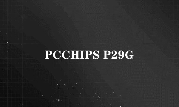 PCCHIPS P29G