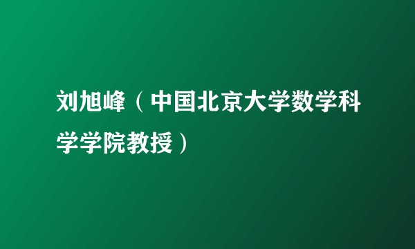 刘旭峰（中国北京大学数学科学学院教授）