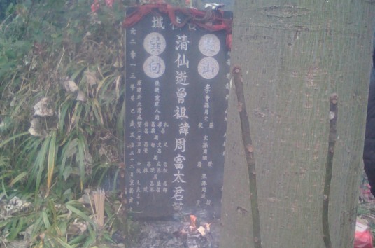 周姓家谱
