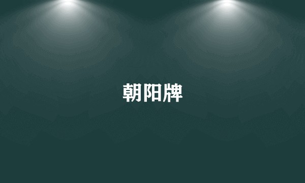 朝阳牌