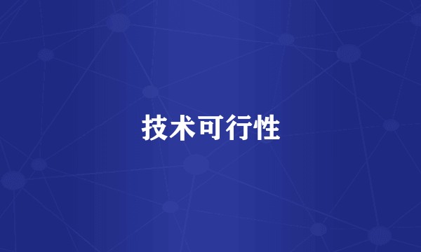 技术可行性