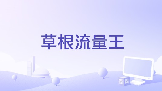 草根流量王