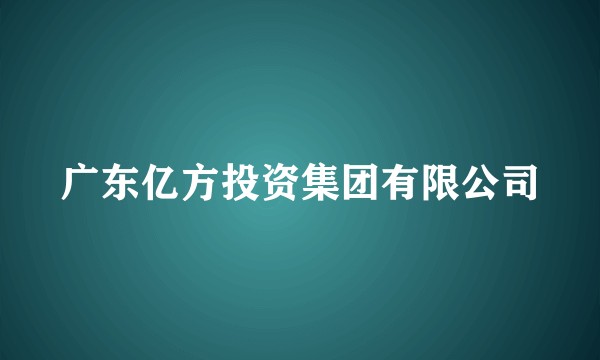 广东亿方投资集团有限公司