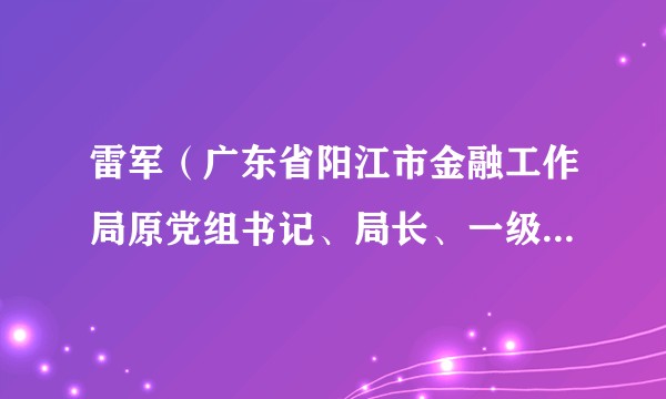 雷军（广东省阳江市金融工作局原党组书记、局长、一级调研员）