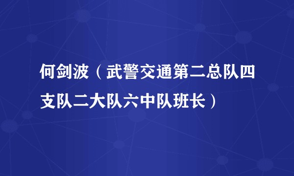 何剑波(武警交通第二总队四支队二大队六中队班长)