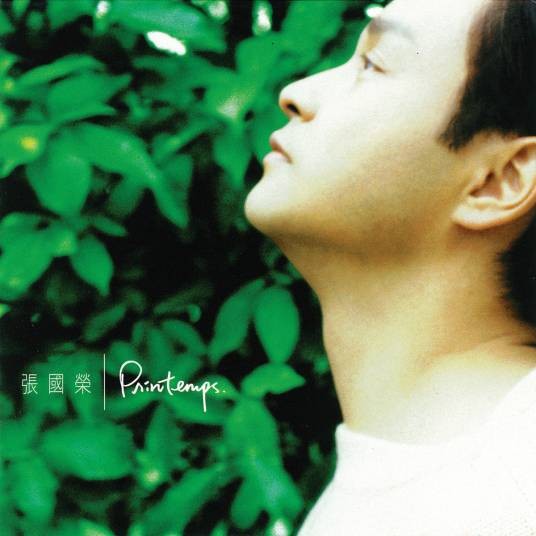 棉花糖（张国荣1998年演唱的日语歌曲）